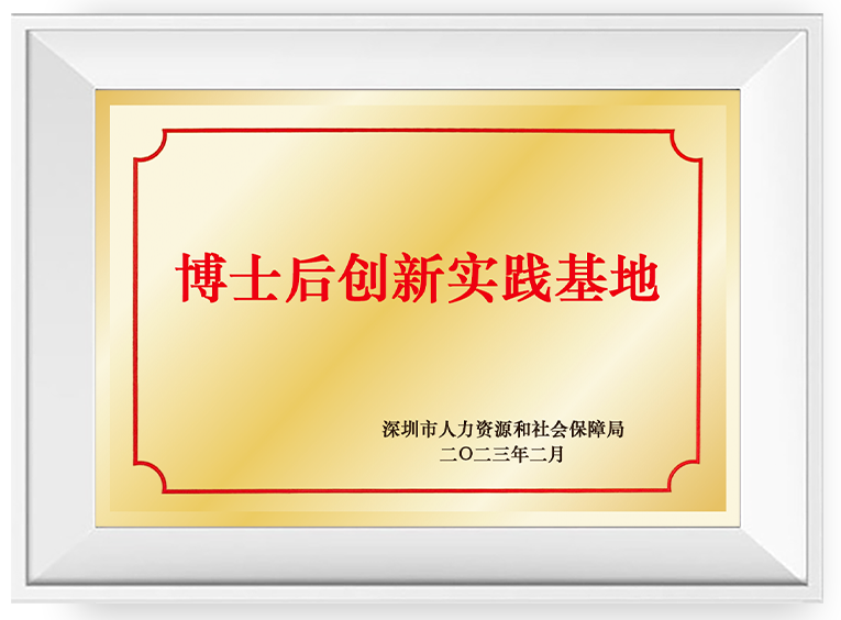 ��ʿ������ʵ������